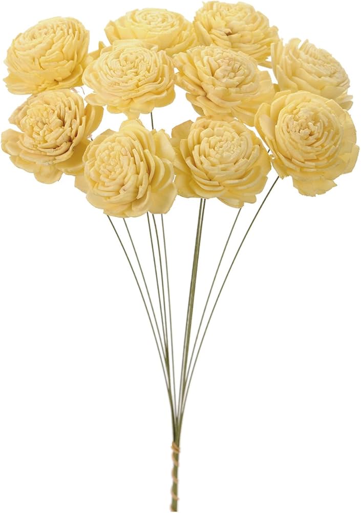 Amazon｜大地農園 自然素材 ソーラーローズ小(10本入) ＃エンジェル